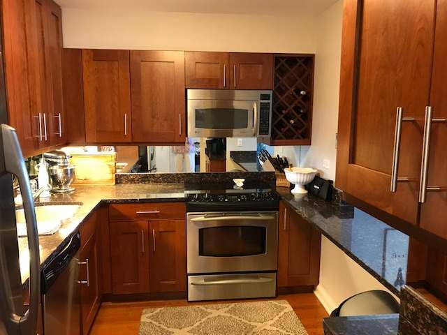 1560 N Sandburg Terrace #1211 Chicago, Illinois 60610 - Image 5