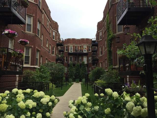 1338 W Greenleaf Avenue #3E Chicago, Illinois 60626 - Image 1