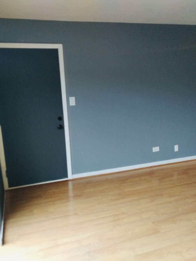 9416 Bay Colony Drive #3N Des Plaines, Illinois 60016 - Fresh paint!