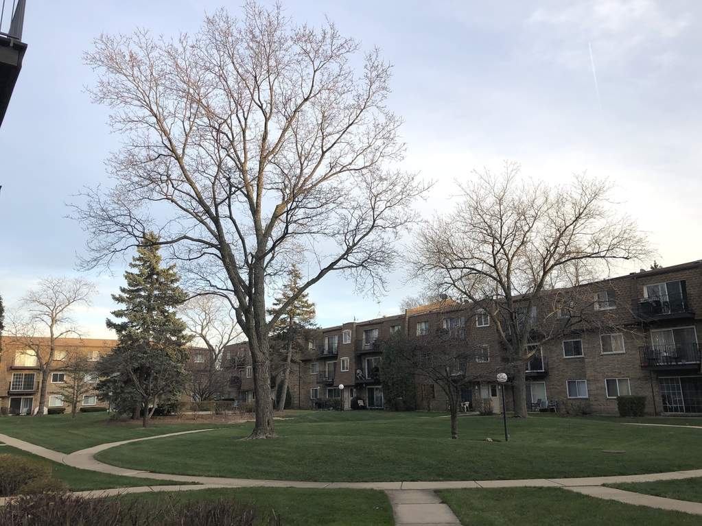 9416 Bay Colony Drive #3N Des Plaines, Illinois 60016 - Front courtyard