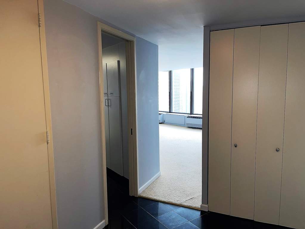 505 N Lake Shore Drive #5601 Chicago, Illinois 60611 - Image 4