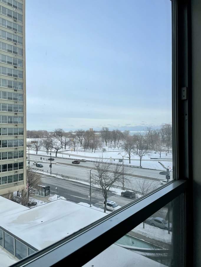3550 N Lake Shore Drive #605 Chicago, Illinois 60657 - Image 2