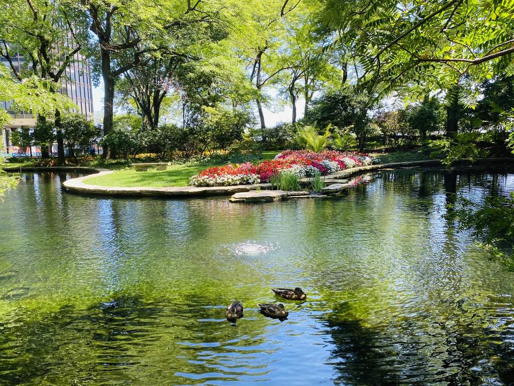 505 N Lake Shore Drive #3401 Chicago, Illinois 60611 - Image 44