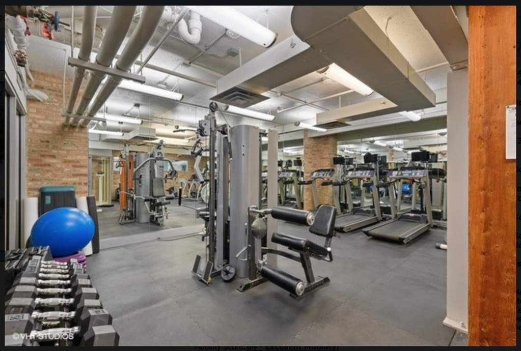 540 N Lake Shore Drive #220 Chicago, Illinois 60611 - Image 14