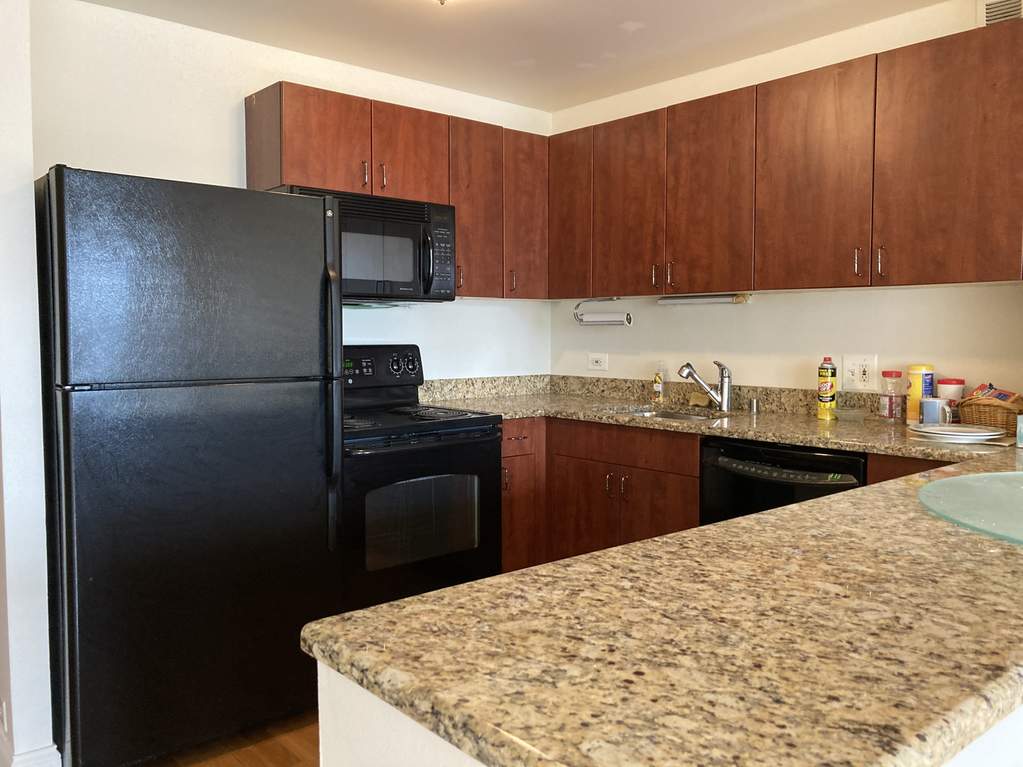 474 N Lake Shore Drive #3101 Chicago, Illinois 60611 - Image 12