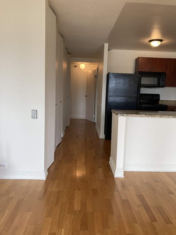 474 N Lake Shore Drive #3101 Chicago, Illinois 60611 - Image 13