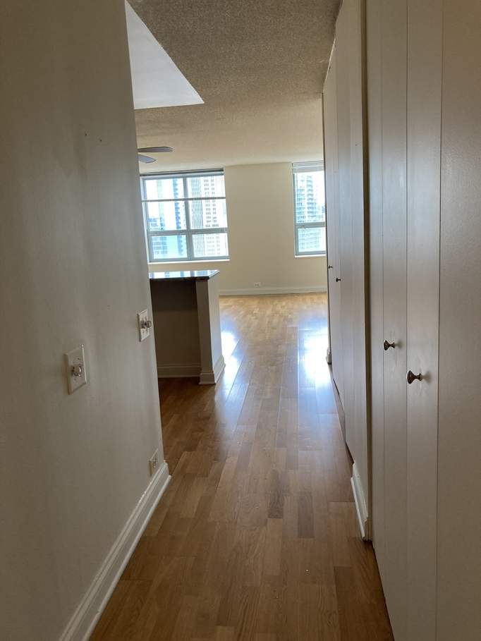 474 N Lake Shore Drive #3101 Chicago, Illinois 60611 - Image 14