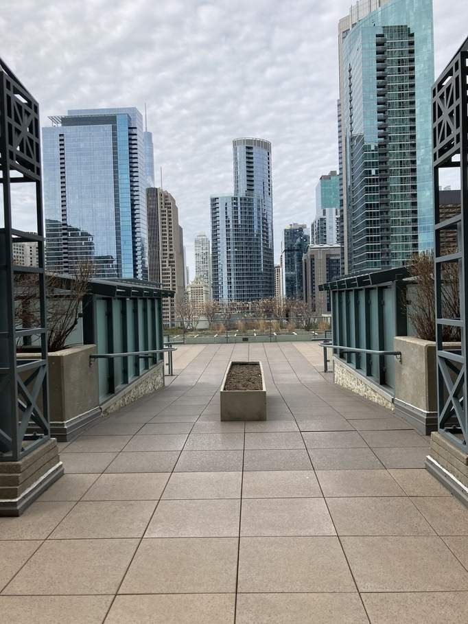 474 N Lake Shore Drive #3101 Chicago, Illinois 60611 - Image 18