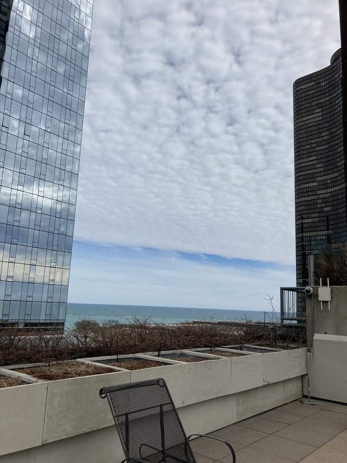 474 N Lake Shore Drive #3101 Chicago, Illinois 60611 - Image 25