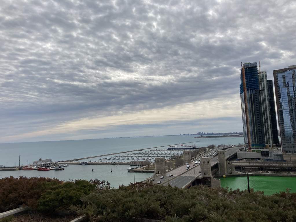 474 N Lake Shore Drive #3101 Chicago, Illinois 60611 - Image 29