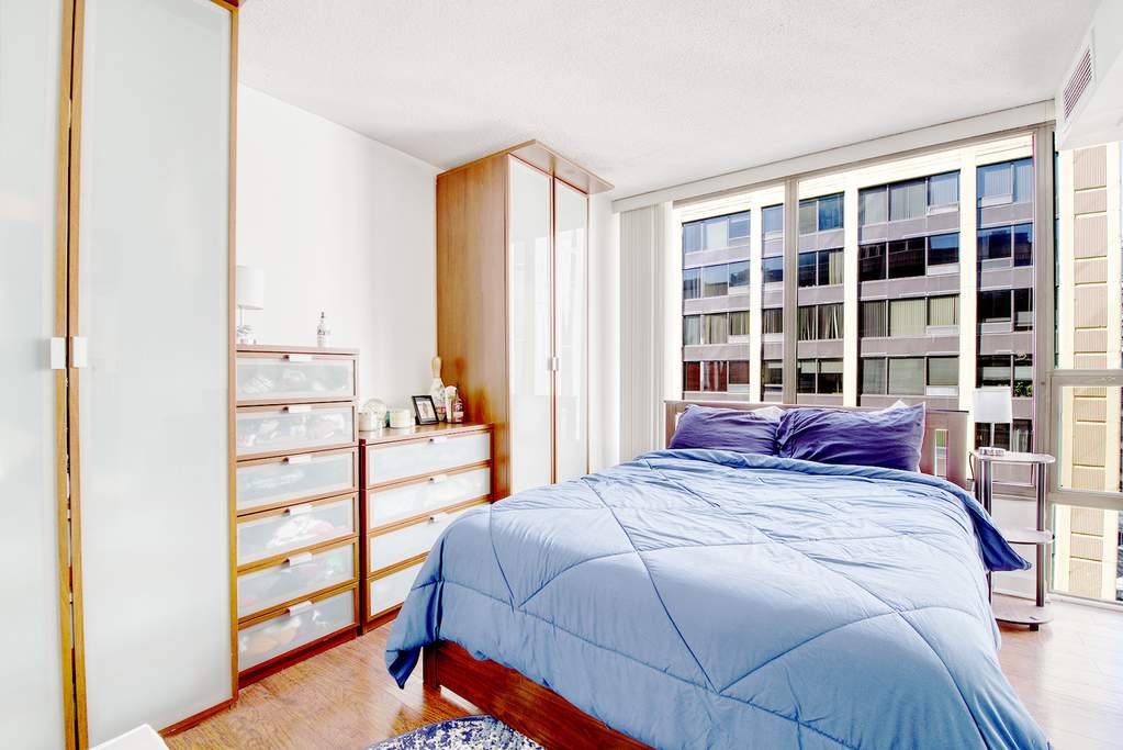 230 E Ontario Street #2503 Chicago, Illinois 60611 - Image 12