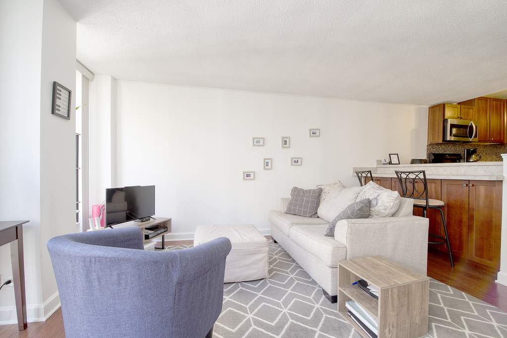 230 E Ontario Street #2503 Chicago, Illinois 60611 - Image 8