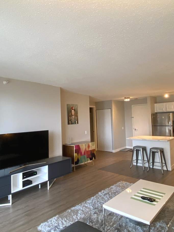 545 N Dearborn Street #2802 Chicago, Illinois 60654 - Image 3