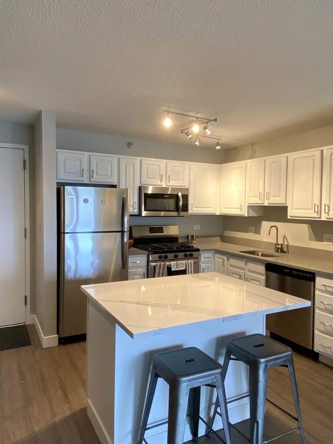 545 N Dearborn Street #2802 Chicago, Illinois 60654 - Image 7