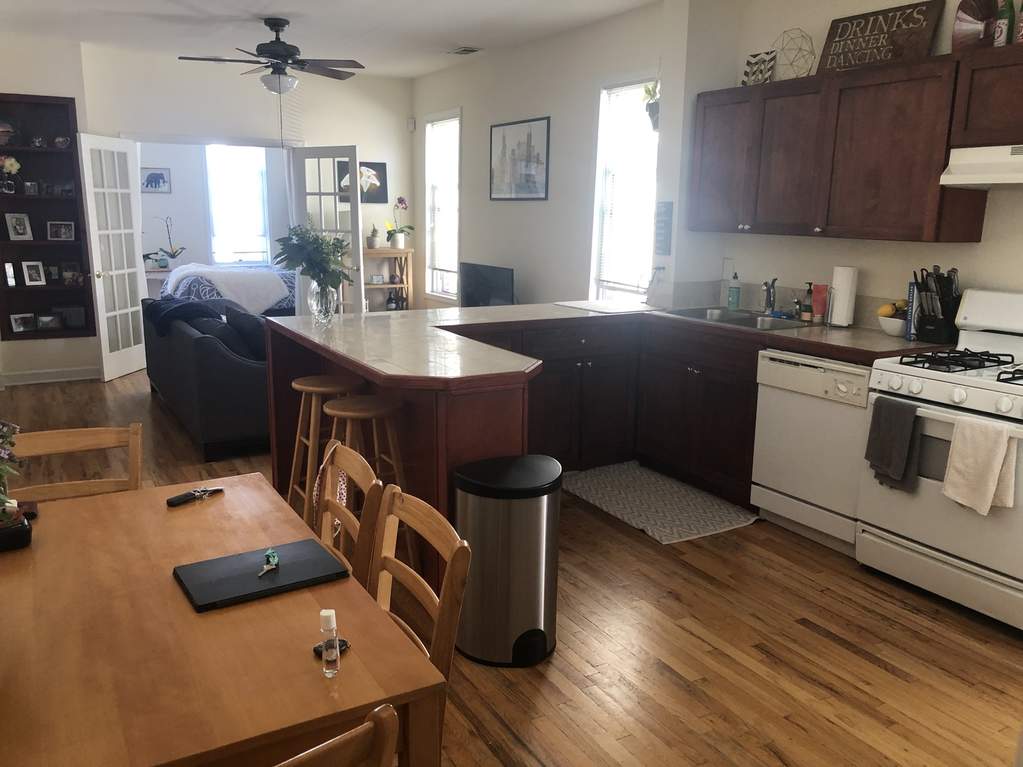 2119 W Race Avenue #2 Chicago, Illinois 60612 - Image 7