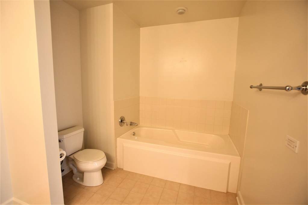 233 E 13th Street #1607 Chicago, Illinois 60605 - Image 16