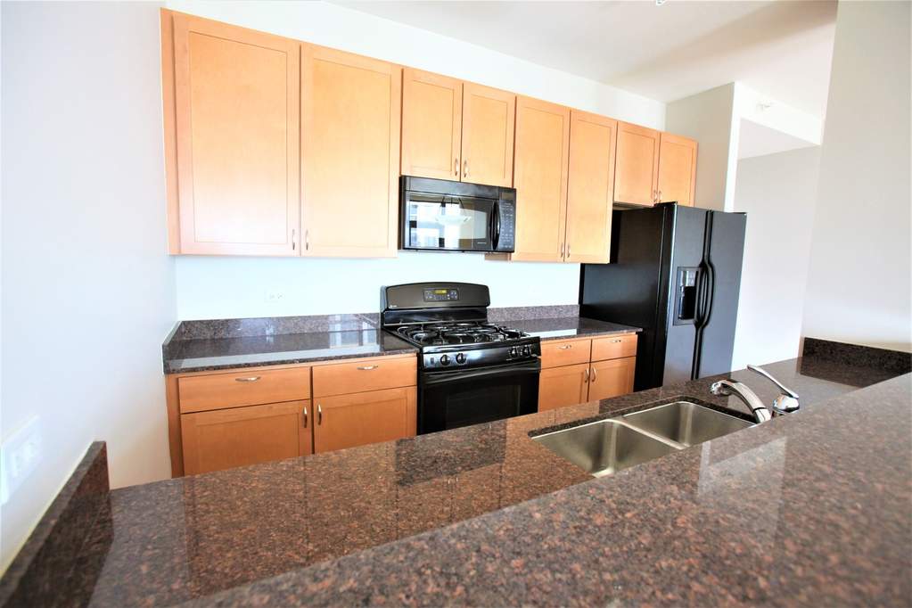 233 E 13th Street #1607 Chicago, Illinois 60605 - Image 6