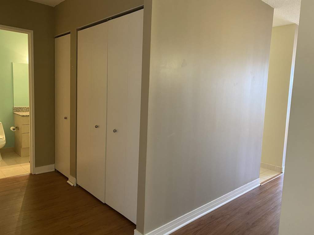 512 N Mcclurg Court #4809 Chicago, Illinois 60611 - Tons of closet space!