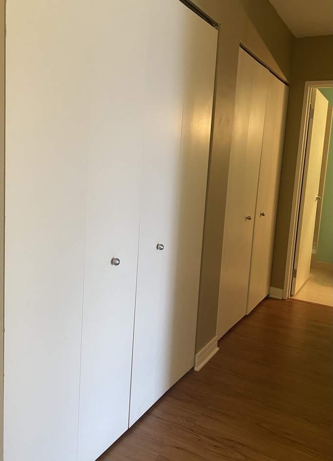 512 N Mcclurg Court #4809 Chicago, Illinois 60611 - More closets!