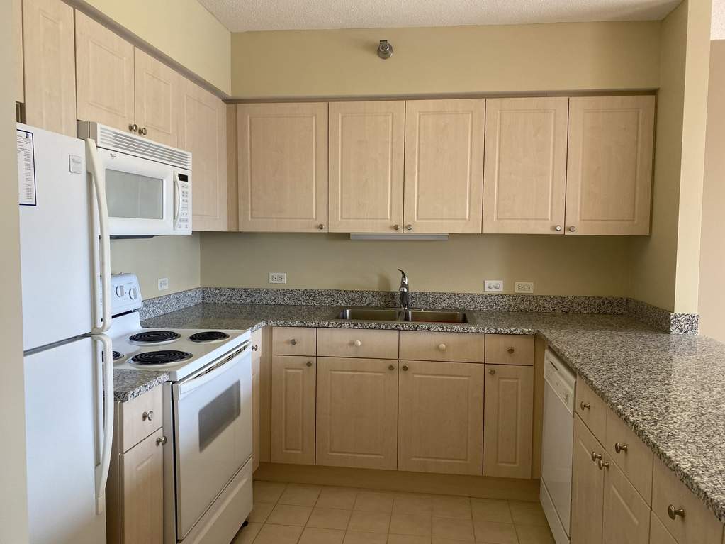 512 N Mcclurg Court #4809 Chicago, Illinois 60611 - Tons of cabinet space!