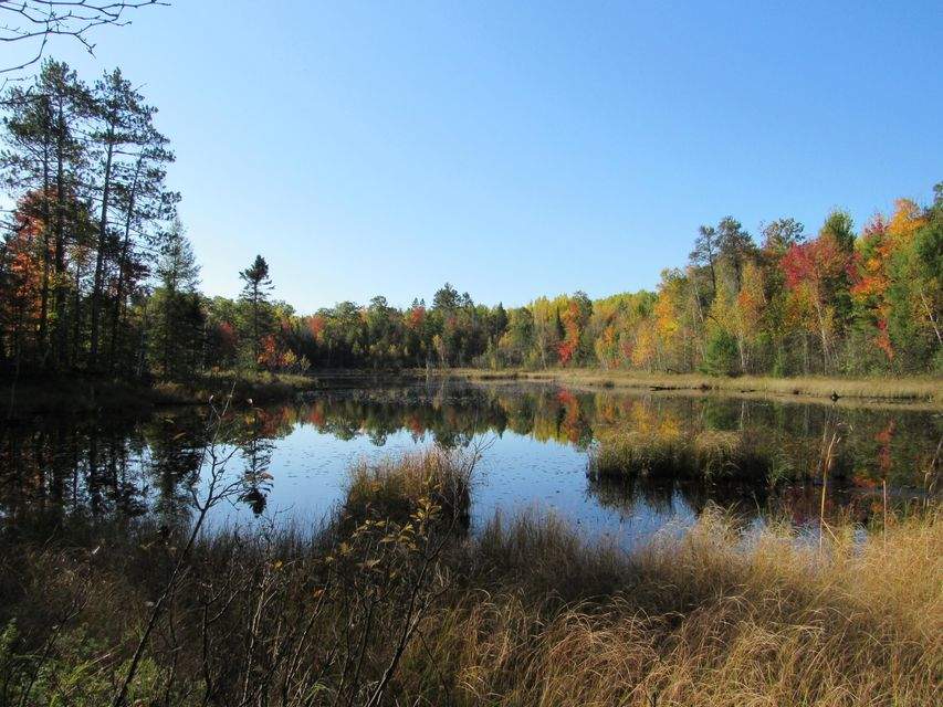 39 ACRES Forest Road 221 Athelstane, WI 54104 | MLS# 1756017 | @properties