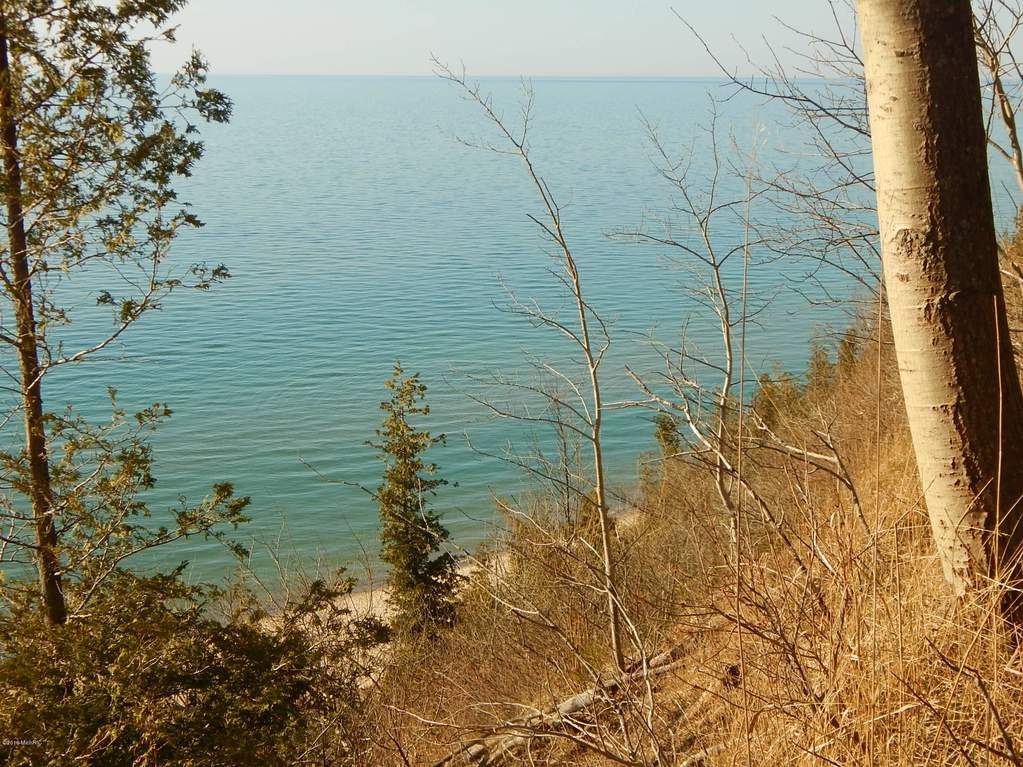 1412B, C LOTS Lakeshore/snape Road Manistee, Mi 49660 - Image 1