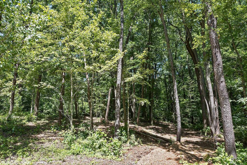 19087 White Pine Drive #LOT 9 New Buffalo, Mi 49117 - Image 1