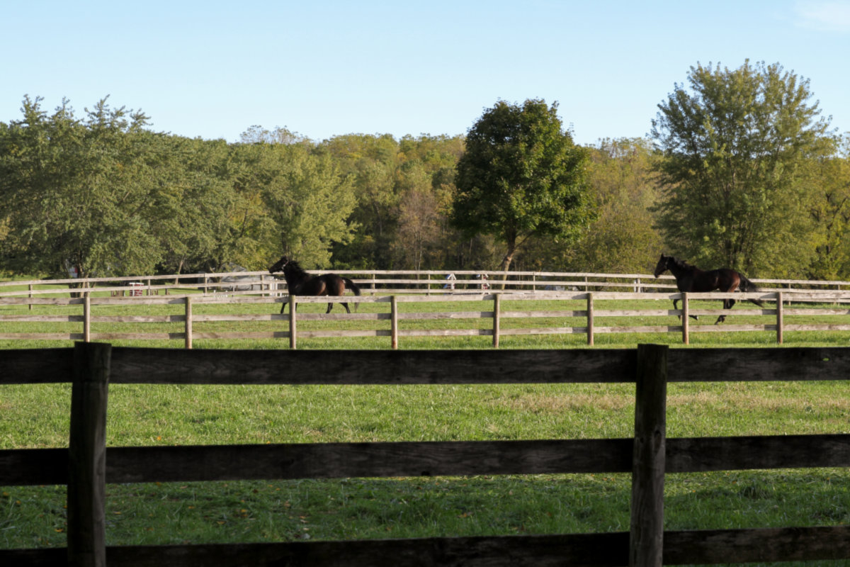 Barrington Hills -