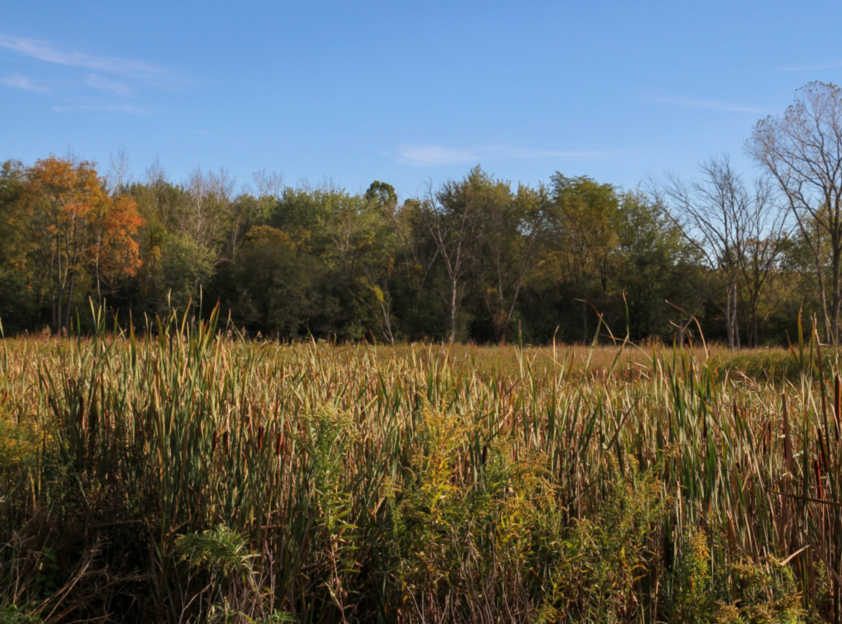 Barrington Hills -