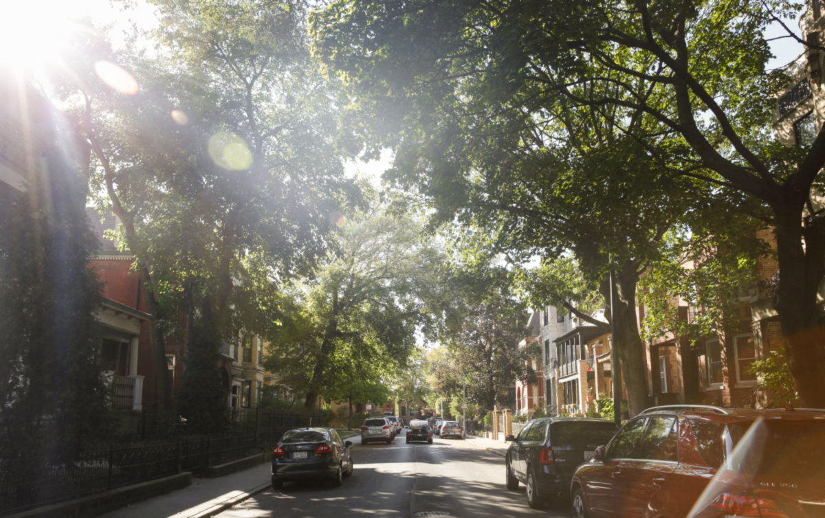 Bucktown -