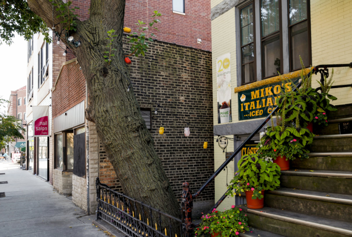 Bucktown -