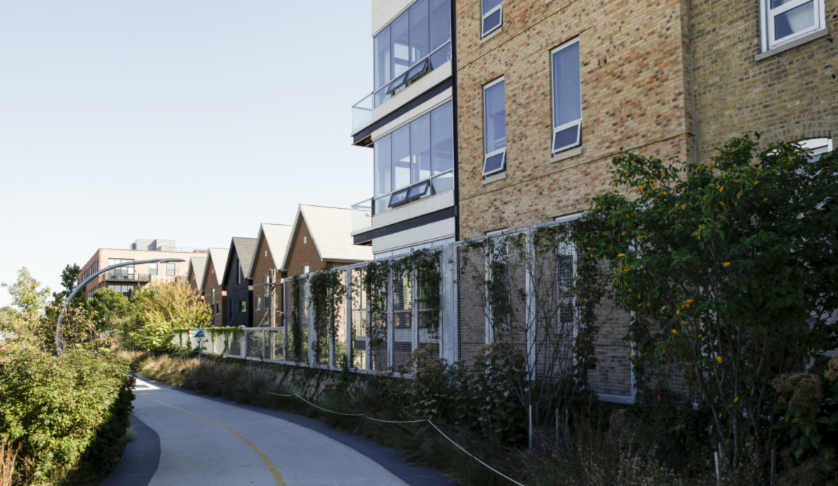 Bucktown -