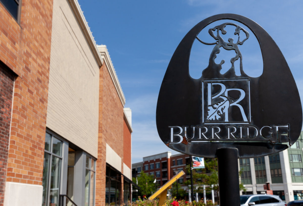 Burr Ridge Real Estate & Burr Ridge Homes for Sale properties