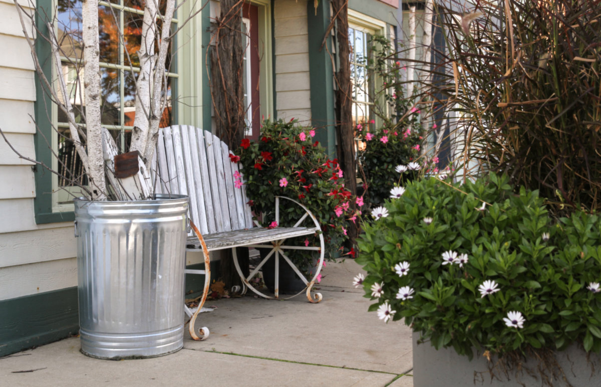 Cary -