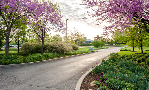 Deerfield - Deerfield Golf Club Driveway