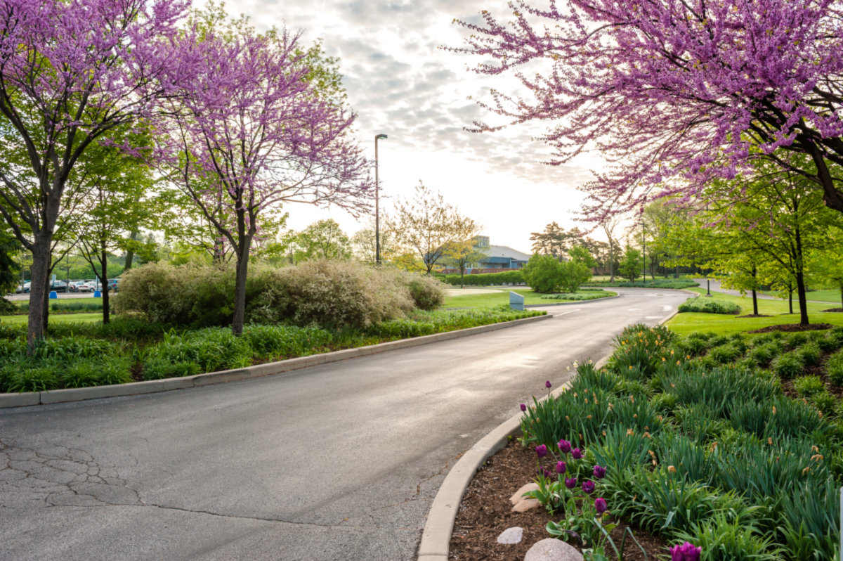 Deerfield -