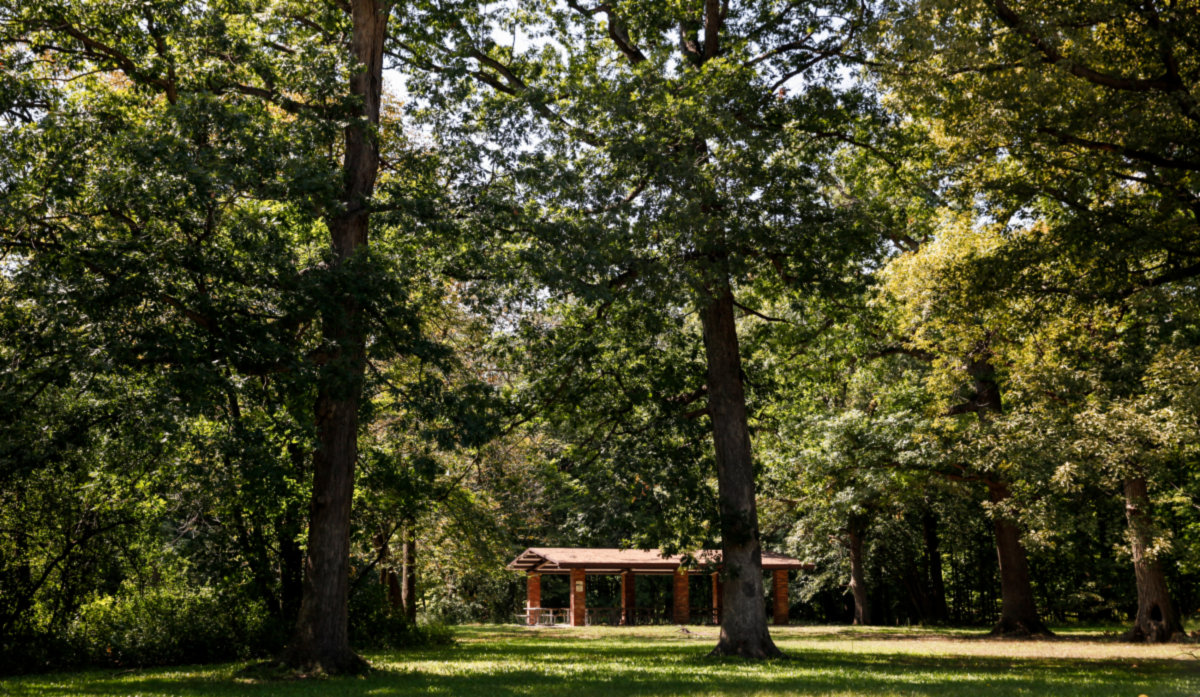 Edgebrook -