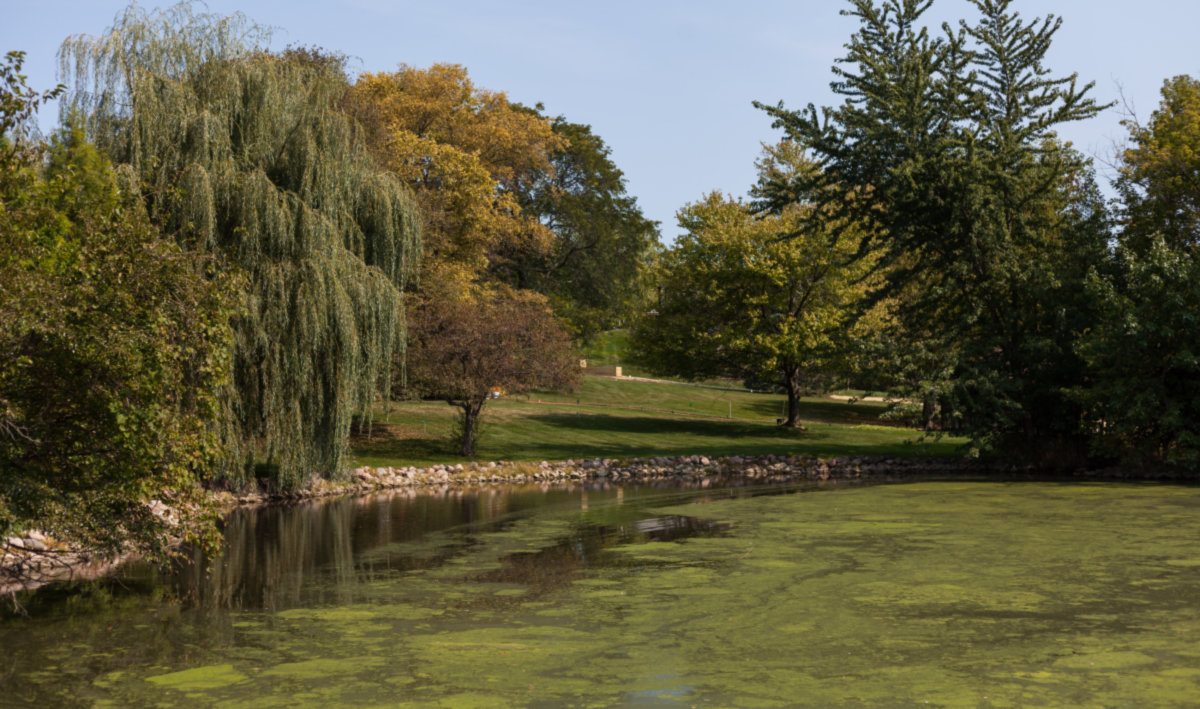 Glendale Heights -