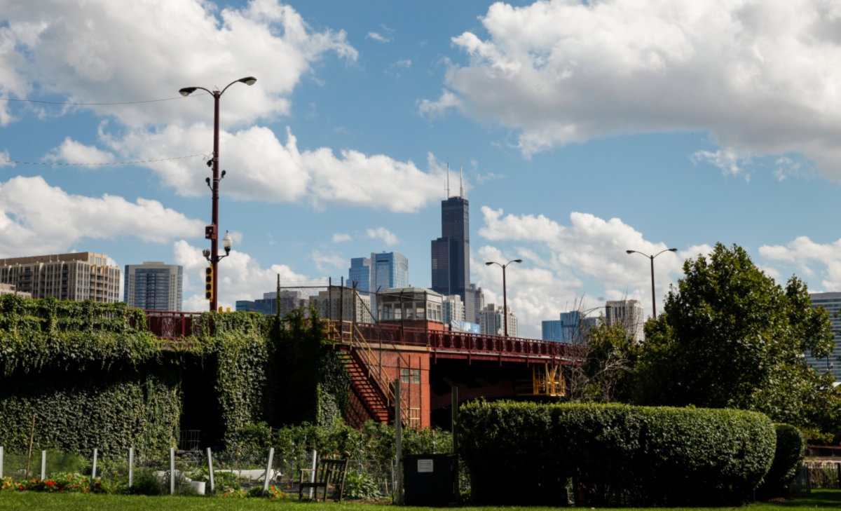 Goose Island -
