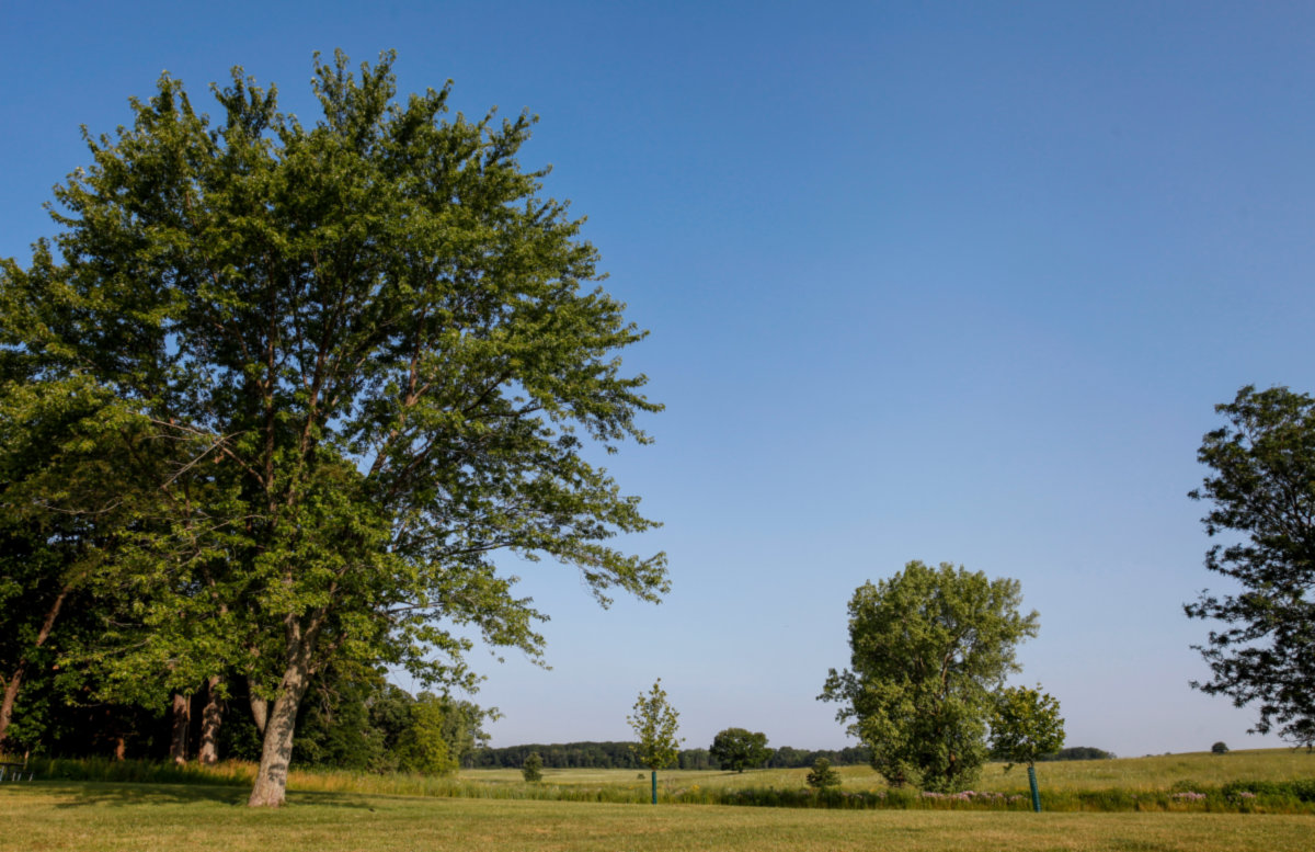 Hoffman Estates -