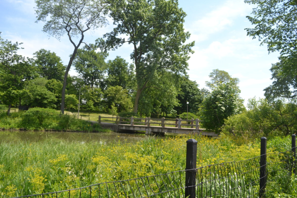 West Humboldt Park -
