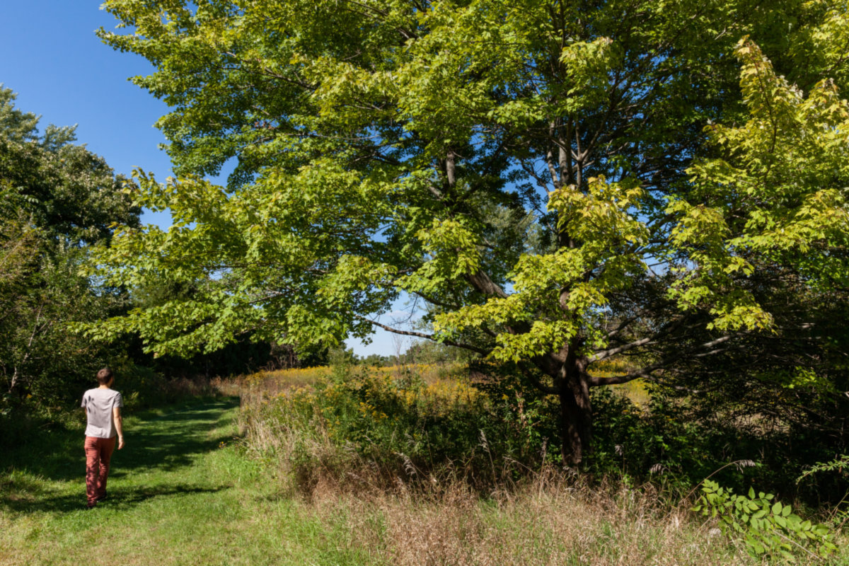 Huntley -