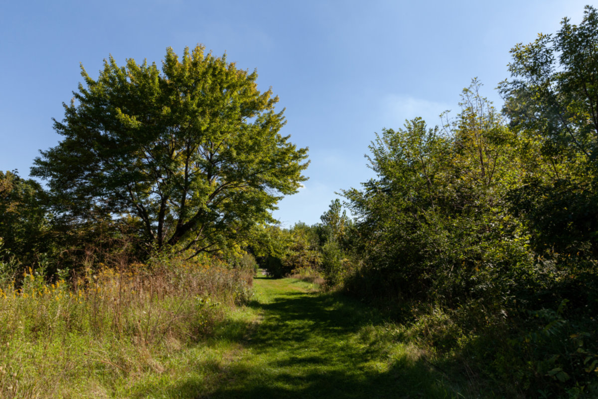 Huntley -