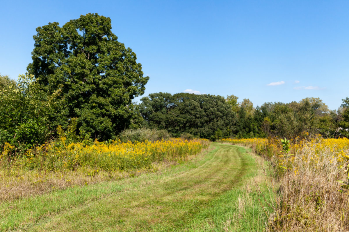 Huntley -
