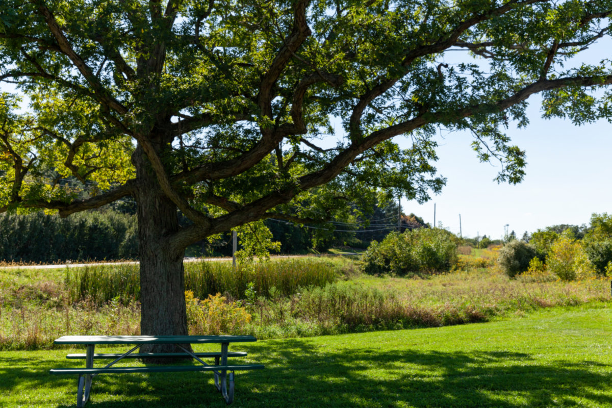 Huntley -