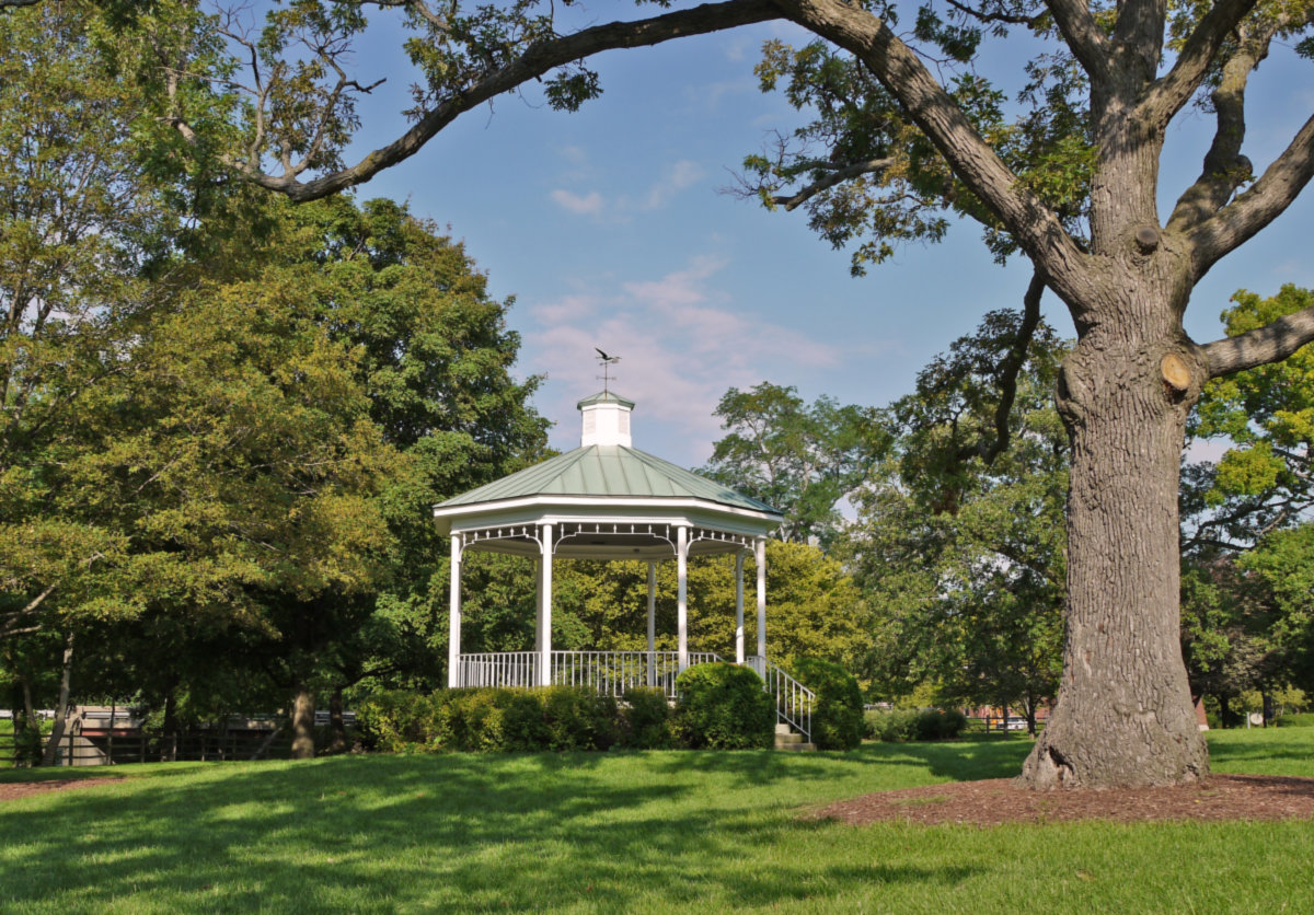 Lake Bluff -