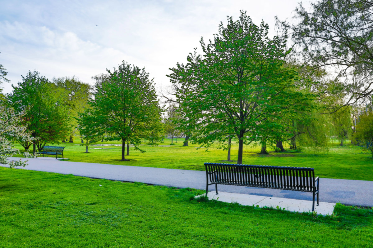 Lakeview -