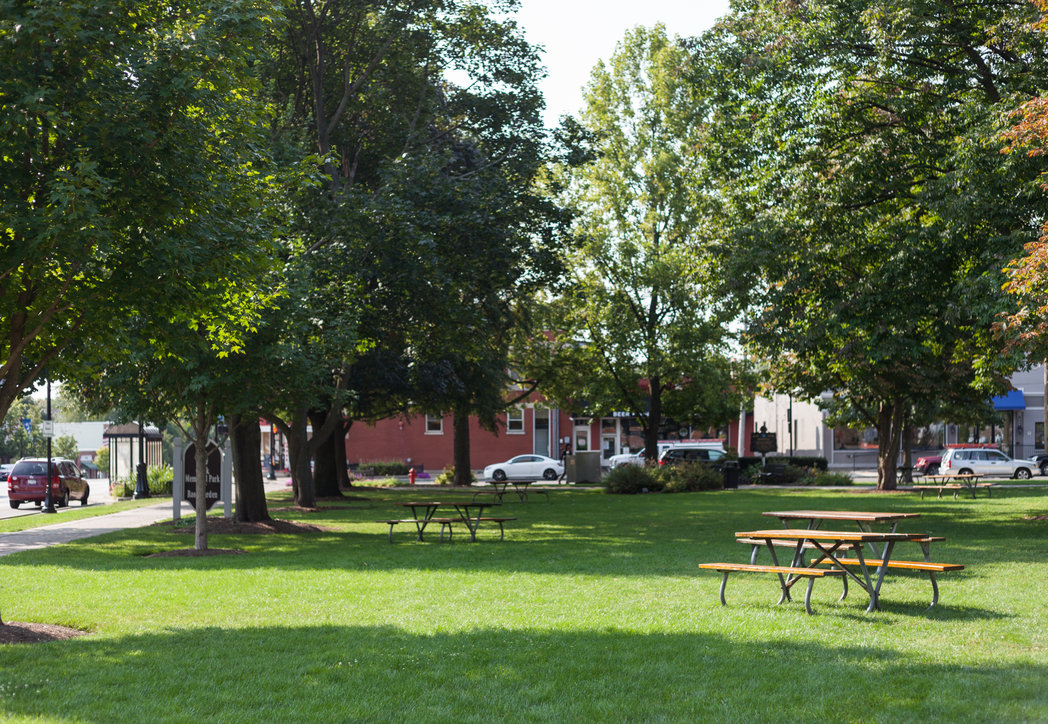 Green Oaks -