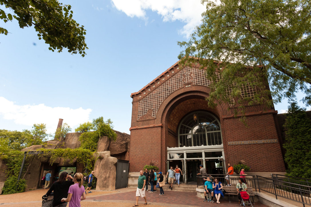 Lincoln Park -