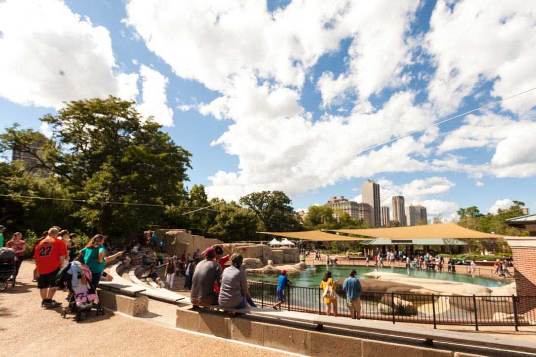 Lincoln Park -